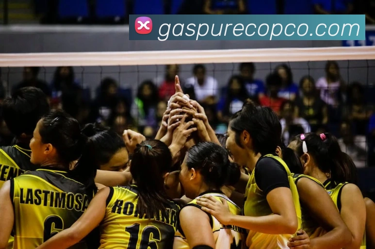 九游网官网登录入口APP 封面图